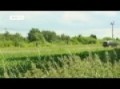 The Motor Magazine - 27.10.2010 | drive it